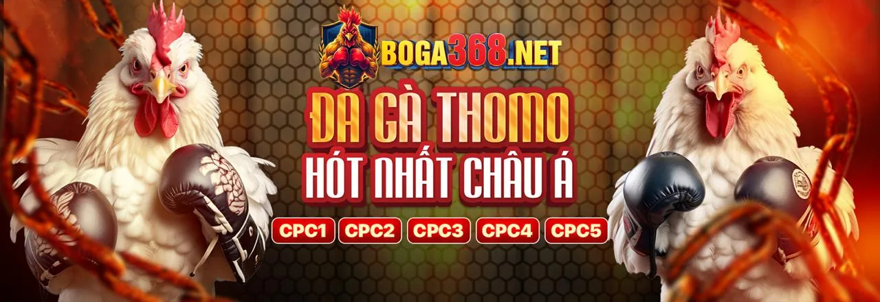 Đội ngũ chuyên gia của ko6699 đăng nhập